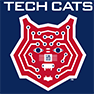 Tech Cats