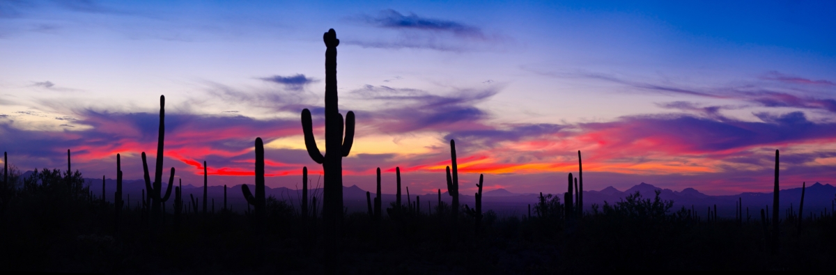 saguaro-np-sunset-120.jpg