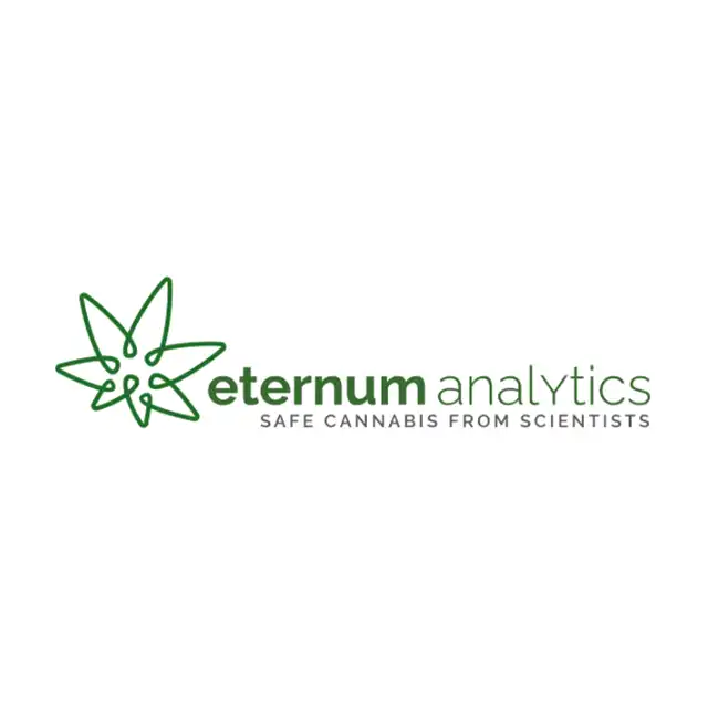 Eternum analytics logo
