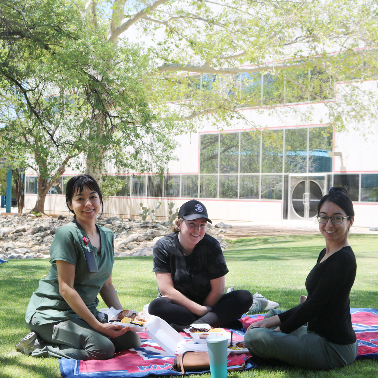 People at a picnic