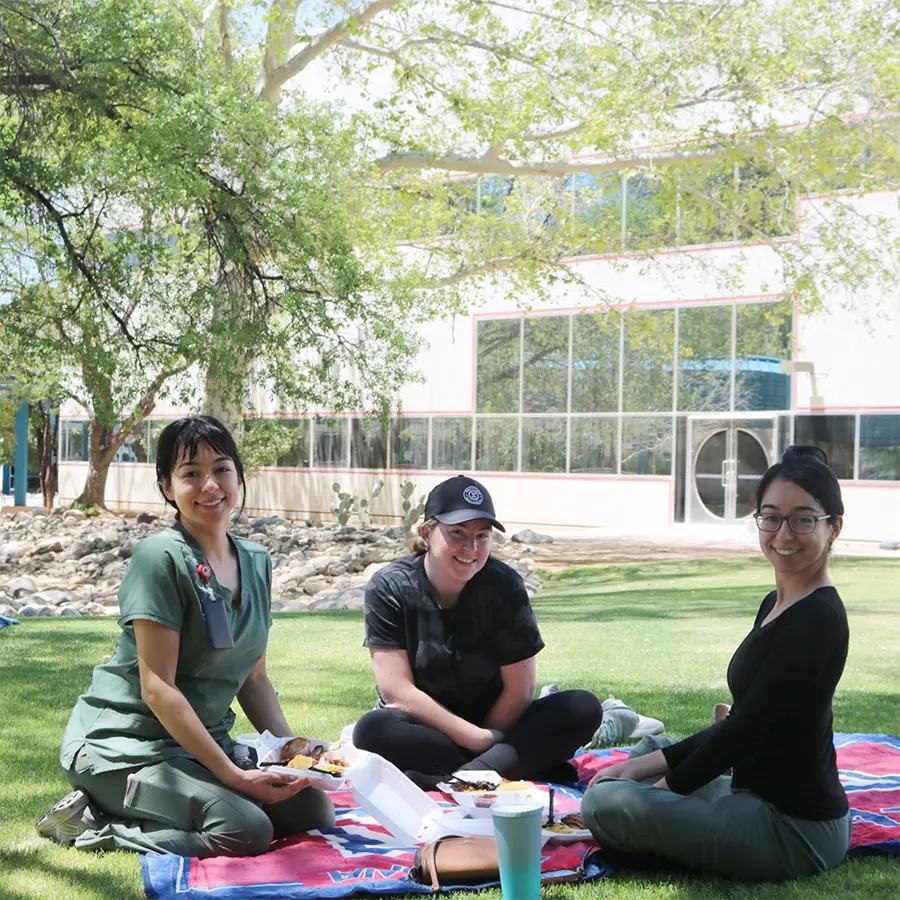 Three woman sitting on a picnic blanket smiling for a photo.