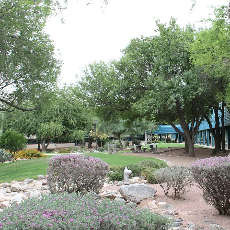 Lush landscaped courtyard with shaded seating, native plants, and walking paths at UA Tech Park in Tucson.