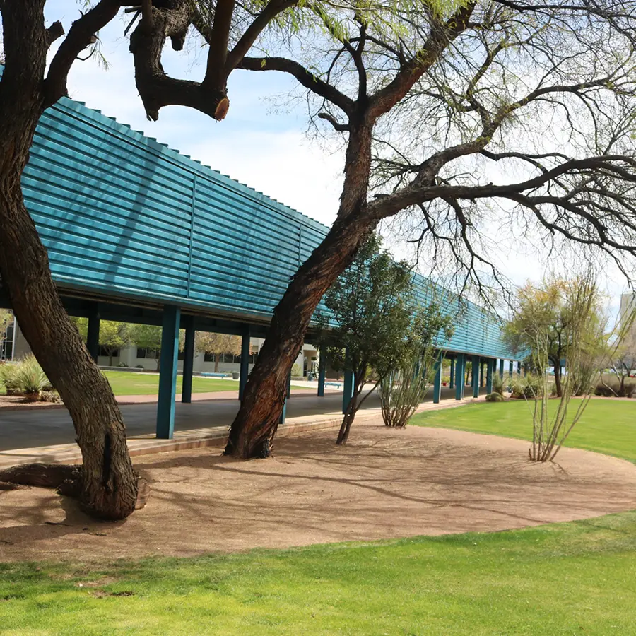 Shaded walkway and landscaped green space with desert trees at UA Tech Park in Tucson.